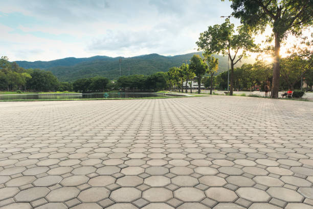 Best Concrete Paver Driveway  in Cameron Park, TX